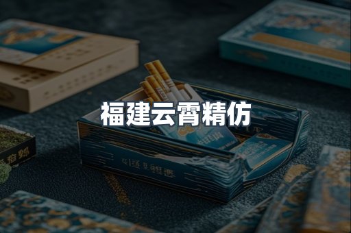 福建云霄精仿